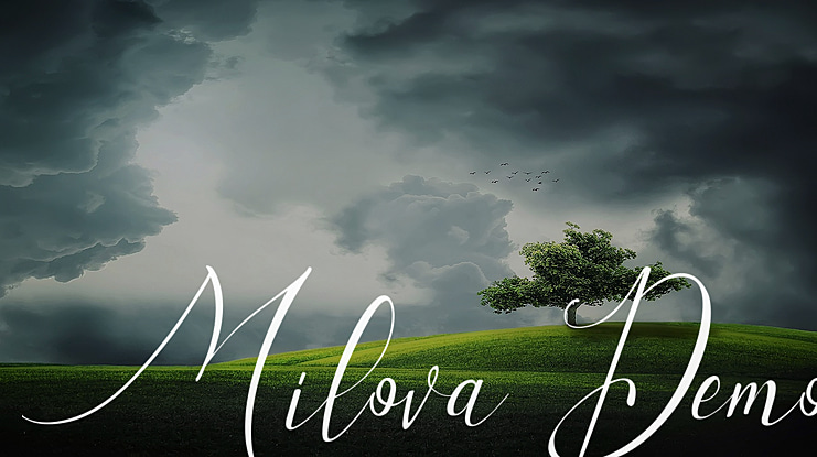 Milova Demo Font