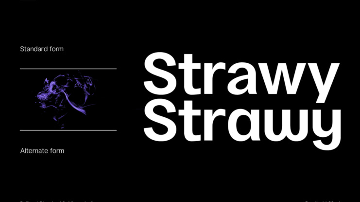 Gallinari Font Family