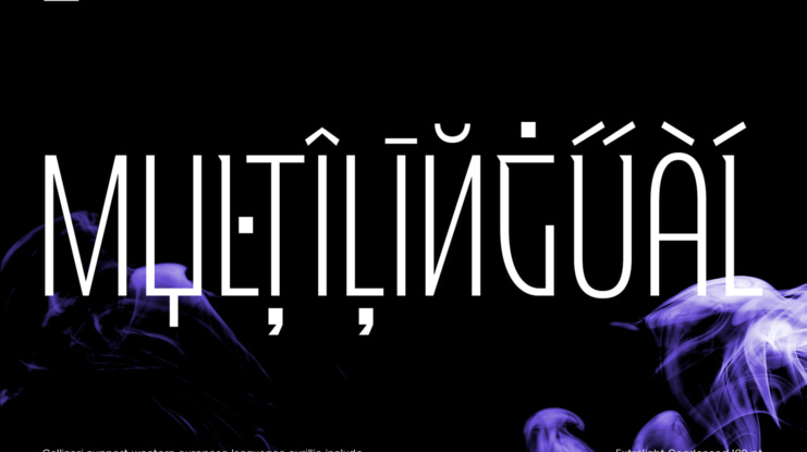 Gallinari Font Family