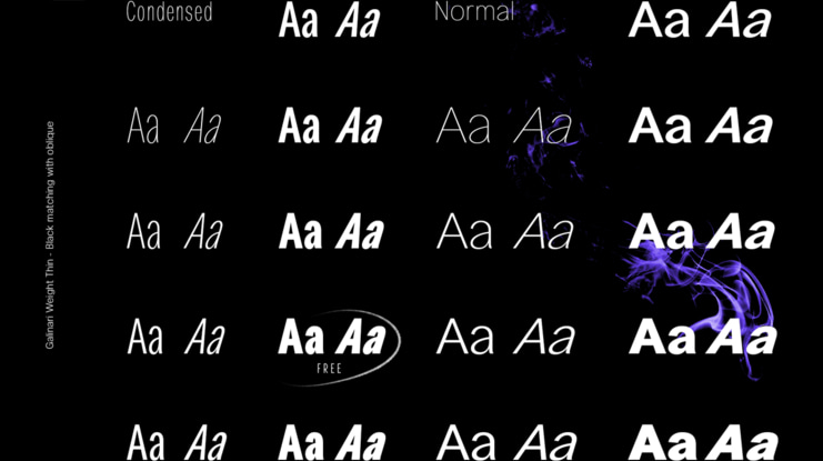 Gallinari Font Family