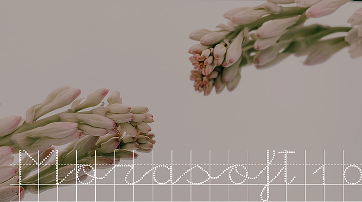 Morasoft10 Font Family