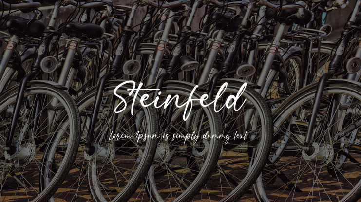 Steinfeld Font