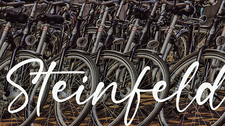 Steinfeld Font