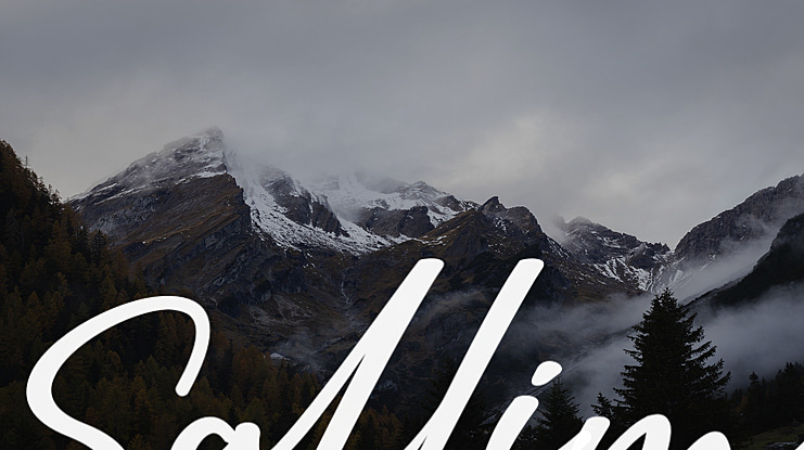 Sallim Font