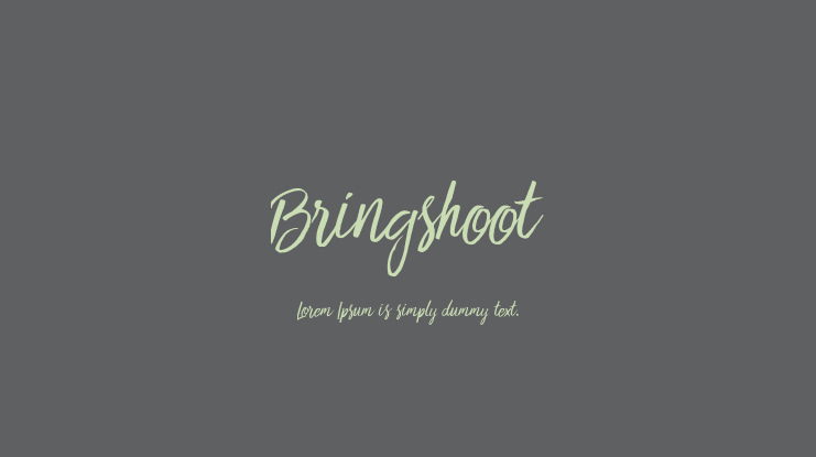 Bringshoot Font