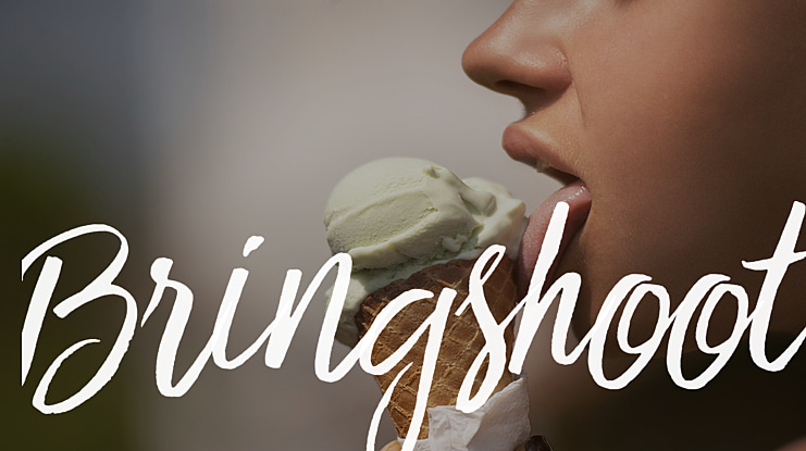 Bringshoot Font