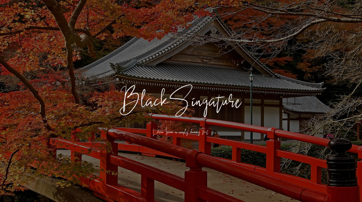 BlackSingature Font