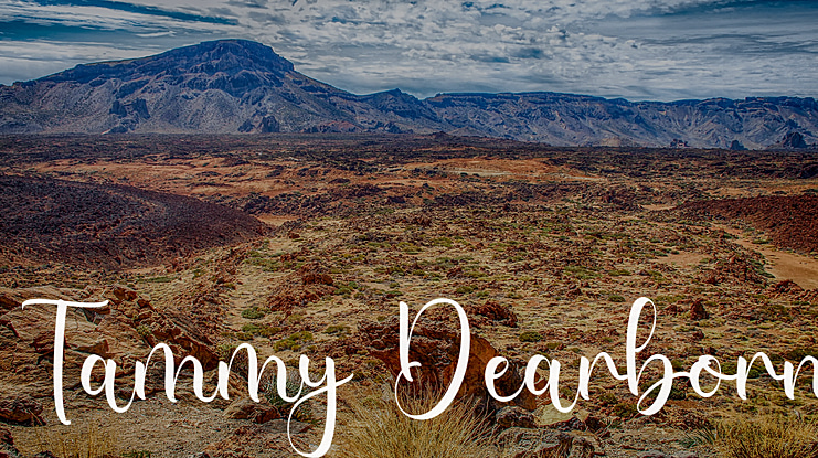 Tammy Dearborn Font