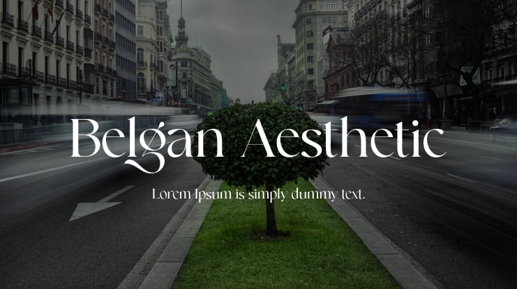 Belgan Aesthetic Font