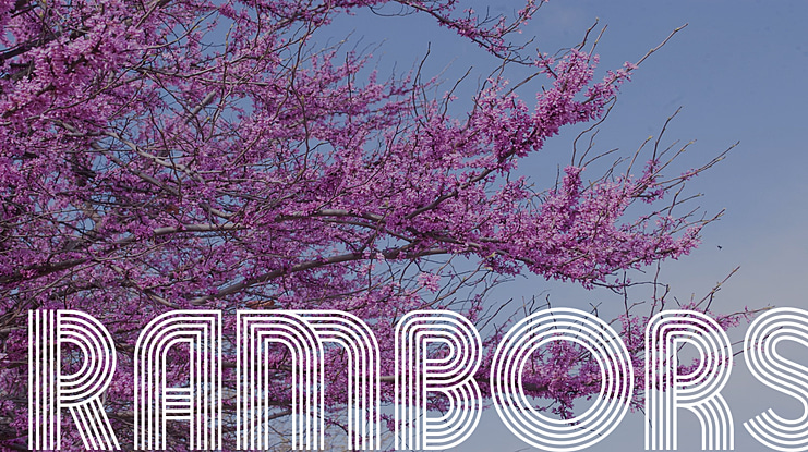 Rambors Font