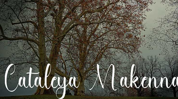 Cataleya Makenna Font