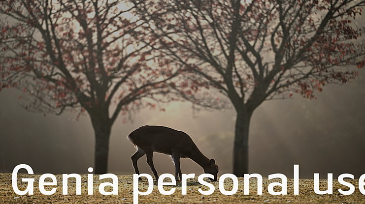 Genia personal use Font Family