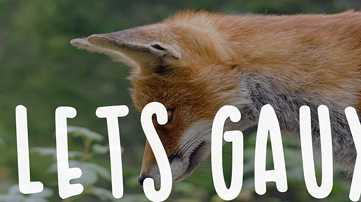 Lets Gaux Font