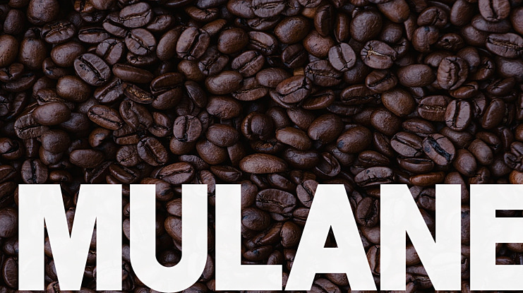 MULANE Font Family