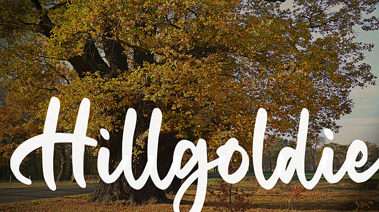 Hillgoldie Font