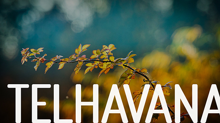 Telhavana Font