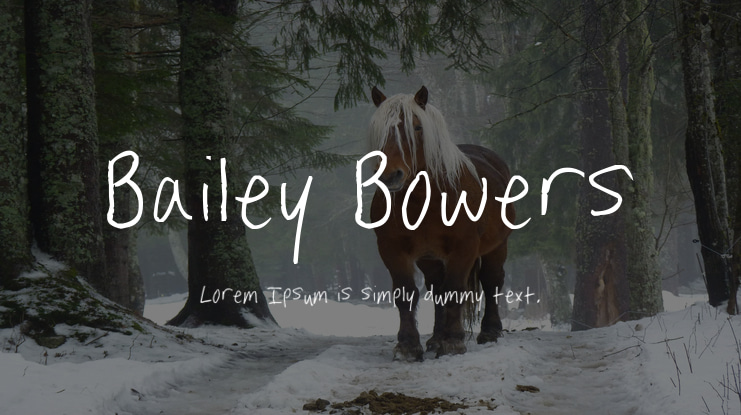 Bailey Bowers Font