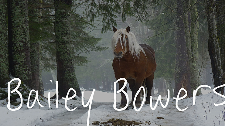 Bailey Bowers Font