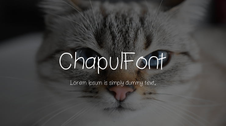 ChapulFont Font