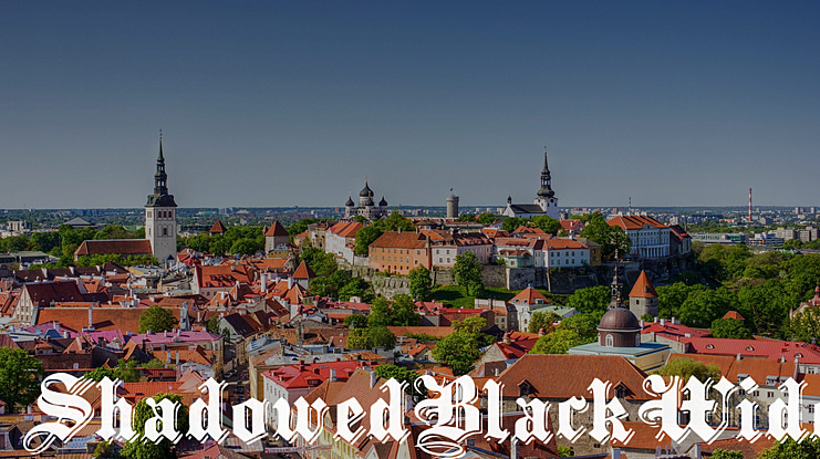 Black family Font Family