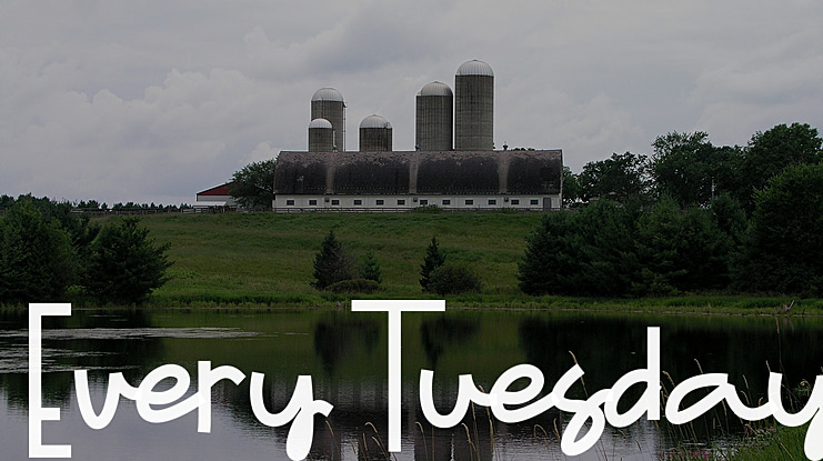 Every Tuesday Font