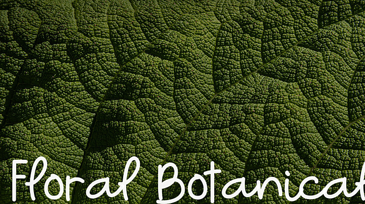 Floral Botanical Font