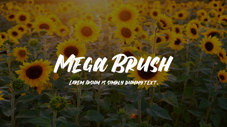 Mega Brush Font
