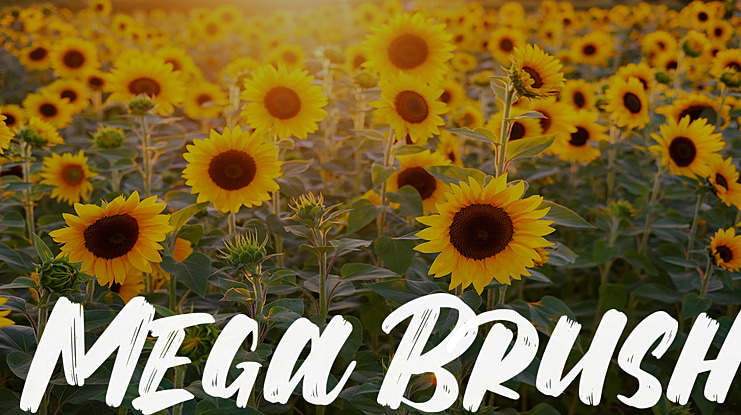 Mega Brush Font