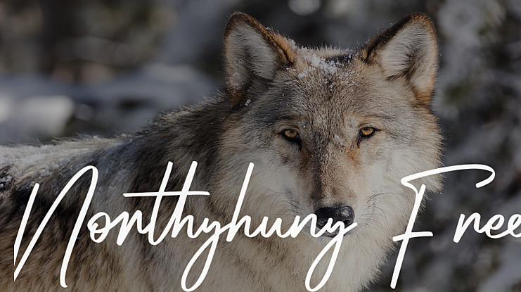 Northyhuny Free Font