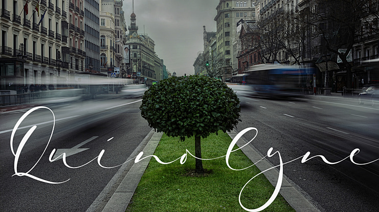Quinolyne Font