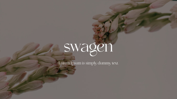 swagen Font