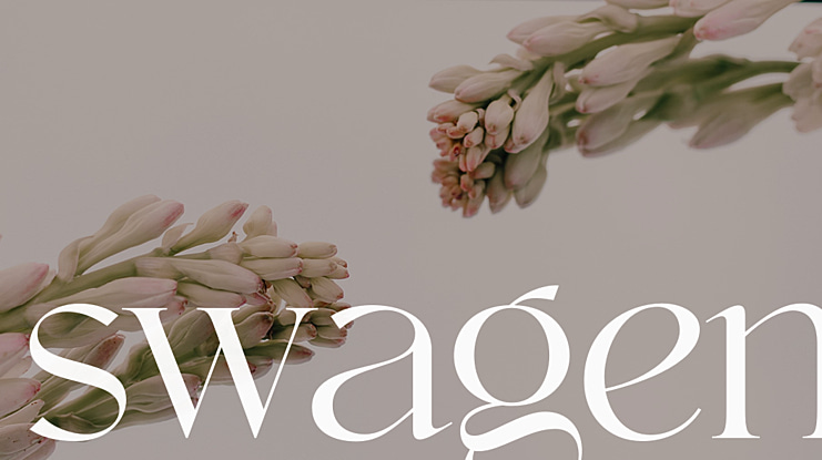swagen Font
