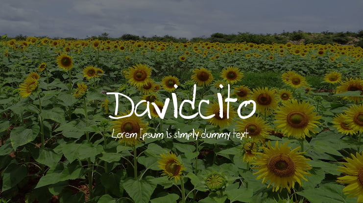 Davidcito Font