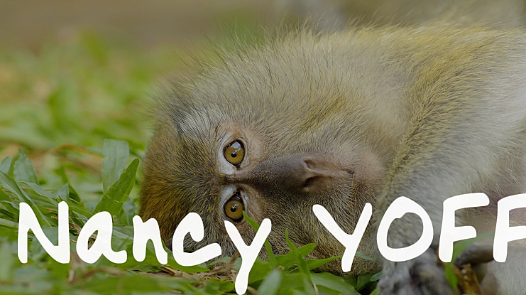 Nancy YOFF Font