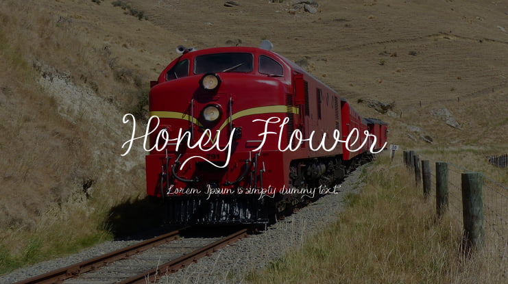 Honey Flower Font