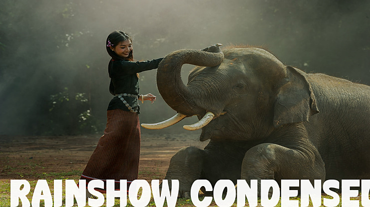 Rainshow Condensed Font Family