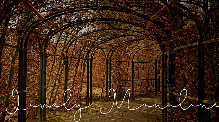 Lovely Monoline Font Family