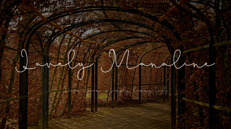 Lovely Monoline Font Family