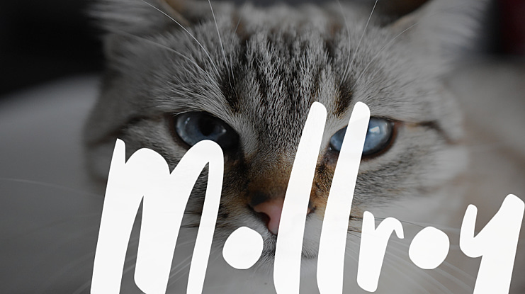 Mollroy Font