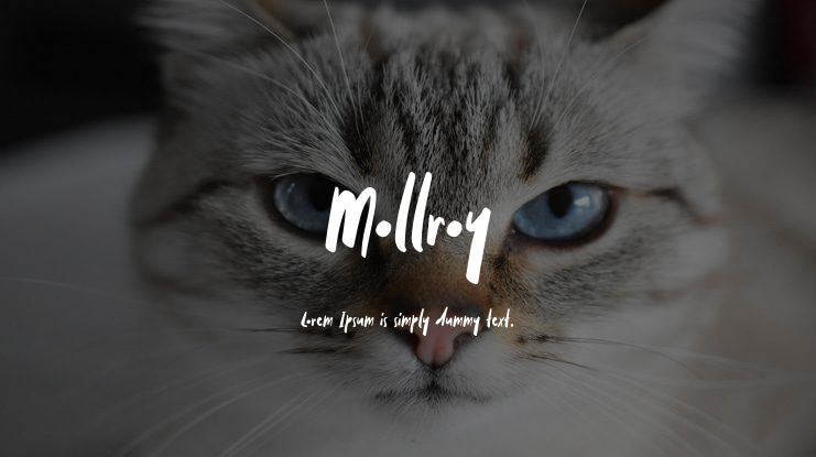 Mollroy Font