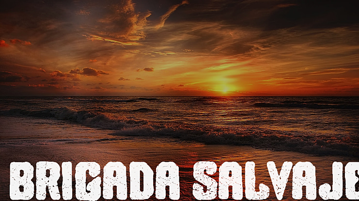 Brigada Salvaje Font