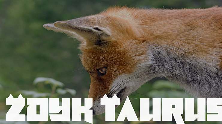 Zdyk Taurus Font