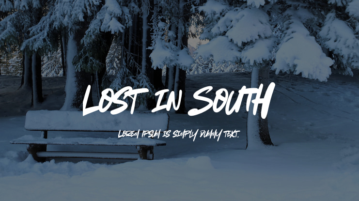 Lost in South Font