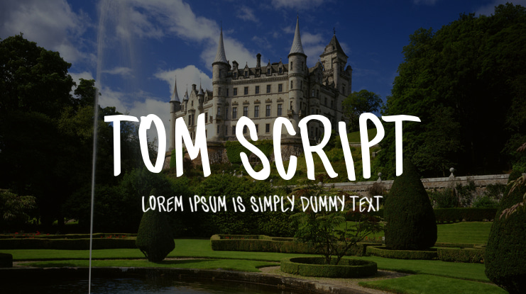tom script Font