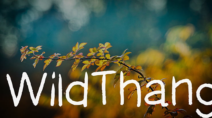 WildThang Font