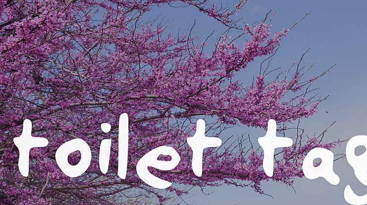 toilet tag Font