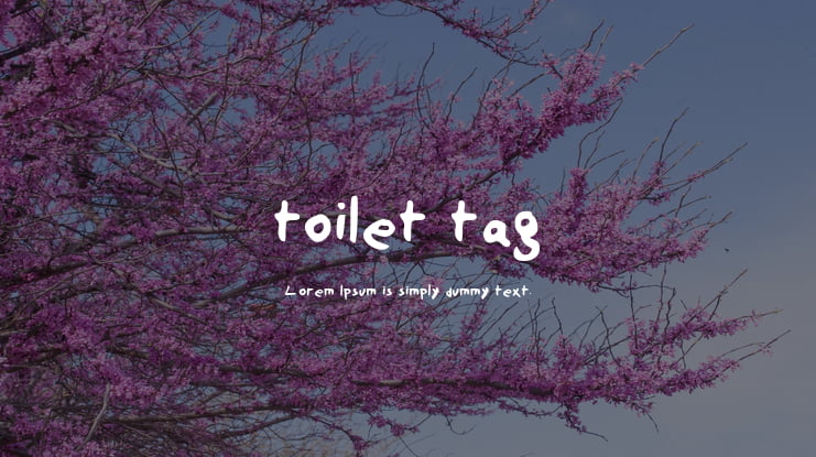 toilet tag Font