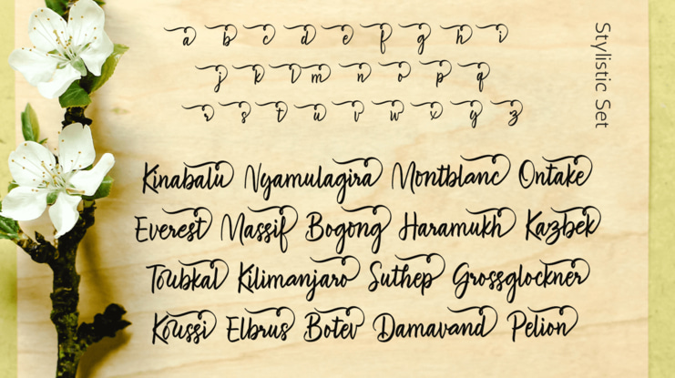 Brave Youthquakes Free Font