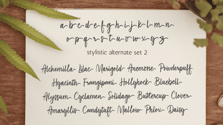 Brave Youthquakes Free Font