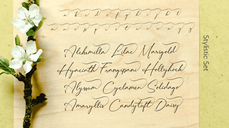 Lovely Hydrillas Free Font